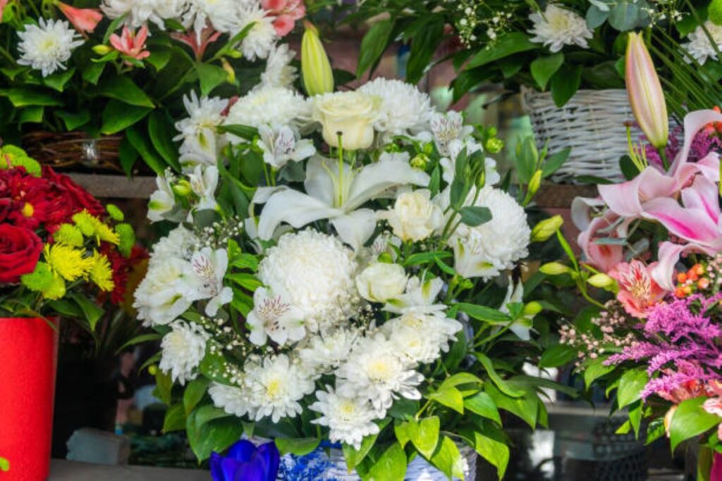 Milsons Point florists