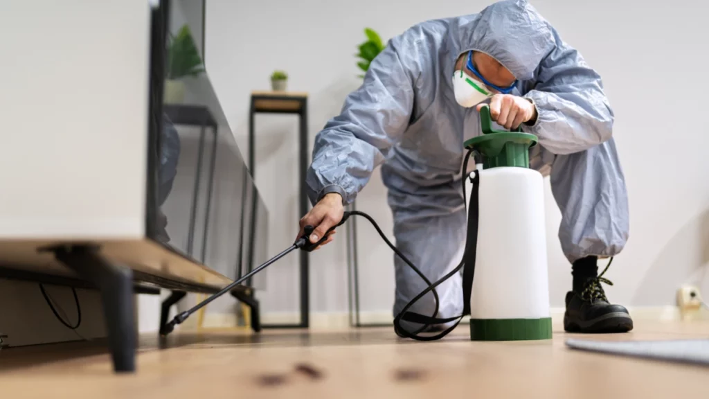 Why Pest and Termite Control Should Be Part of Your Annual Home Maintenance