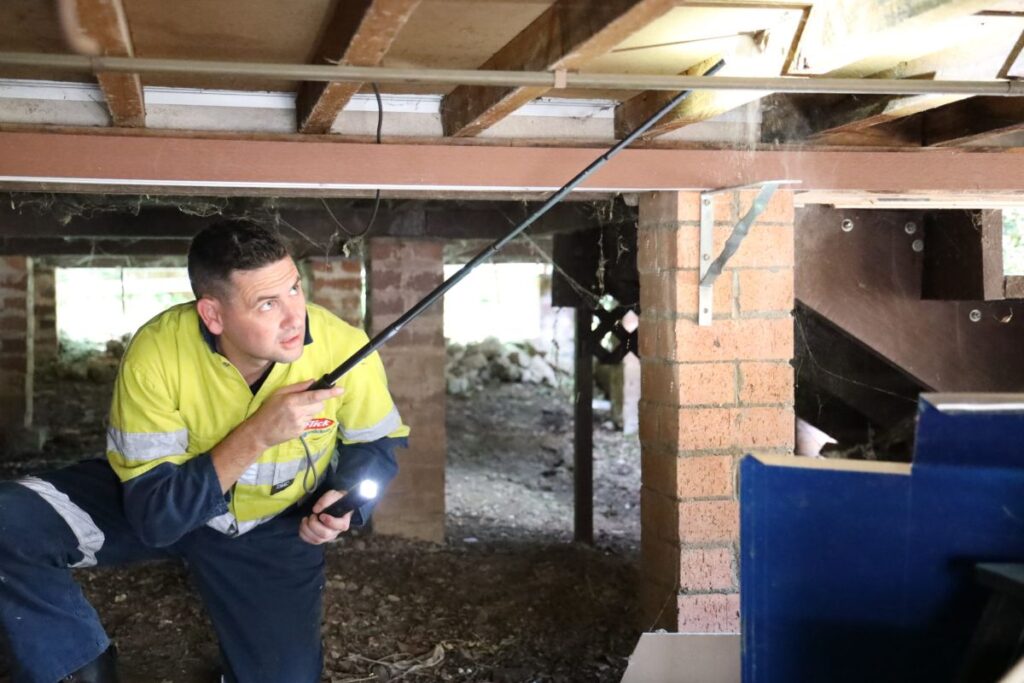 termite inspections sydney