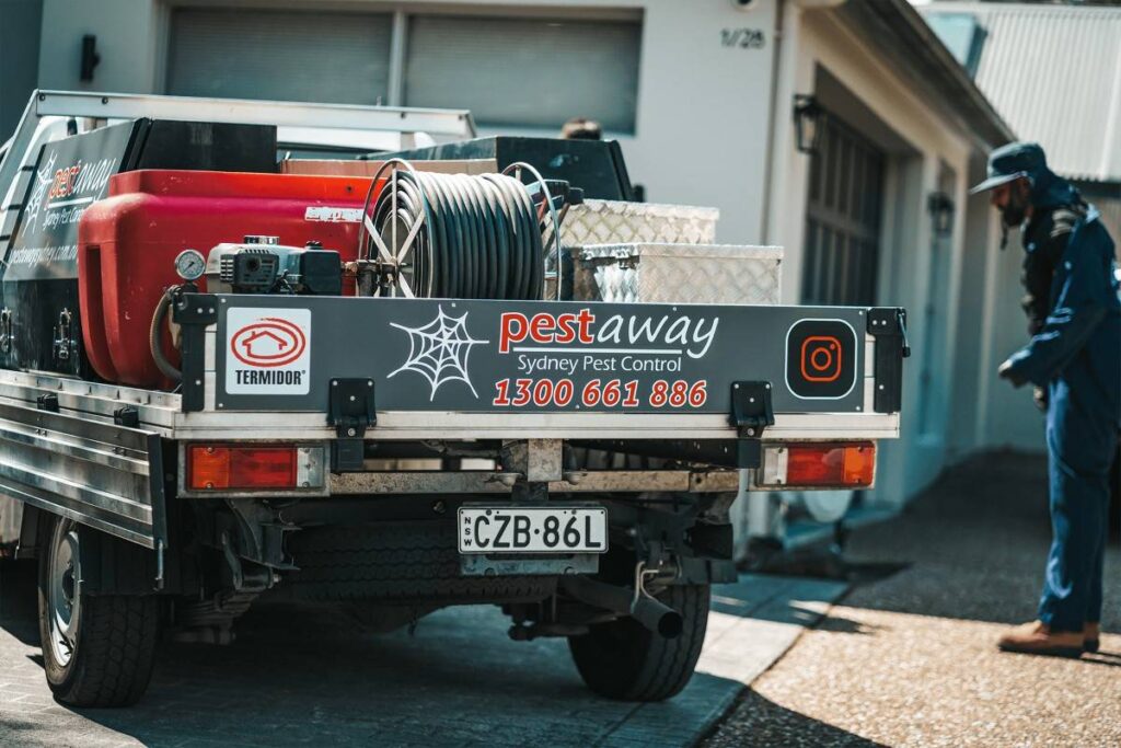 termite inspections sydney